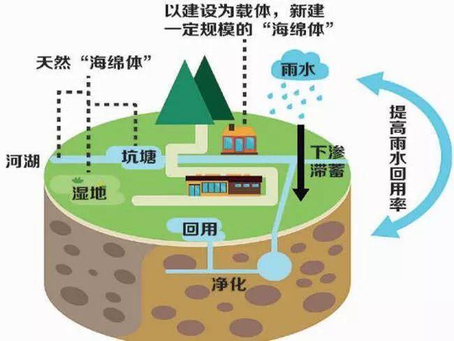 雨水收集利用系統(tǒng)都被應(yīng)用到什么領(lǐng)域？